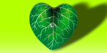 cuore8